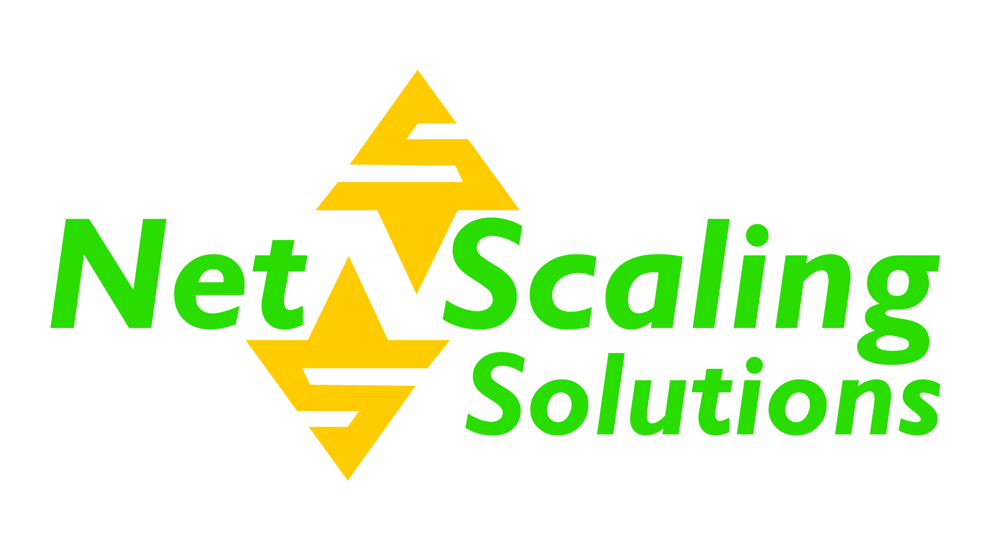NetScaling Solutions, LLC logo